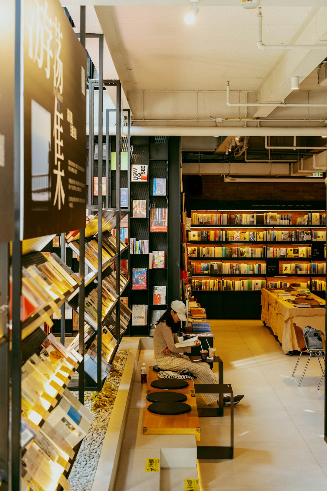 cozy bookstore cafe reading